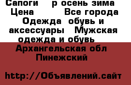 Сапоги 35 р.осень-зима  › Цена ­ 700 - Все города Одежда, обувь и аксессуары » Мужская одежда и обувь   . Архангельская обл.,Пинежский 